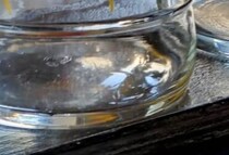 【画像】掘り出し物（全部）