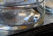 【画像】記事を読む