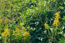 【画像】記事を読む