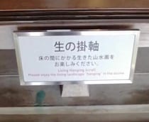 美術館にある“生の”見どころを鑑賞したら→「しばらくそこから動けなかった」　圧巻の光景に「発想がすてきすぎます」「行きてえーー！」