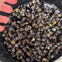 【画像】その後の様子