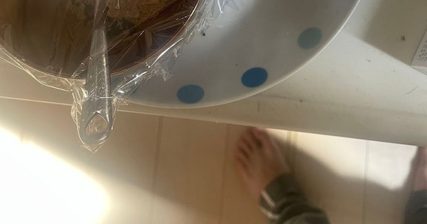 彼女の実家になじみ過ぎた彼氏、ふとテーブルを見ると……　まさかの光景に「すごく大事にされてますね！」「めっちゃ良い味出てるwww」