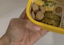 【画像】初めてのお弁当（全体を見る）
