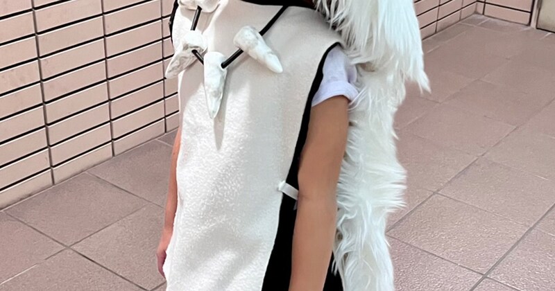 6歳娘のため、ママがダイソー商品で作ったのは……「やばすぎ」「すげええええ」　徹夜で仕上げた“衝撃のジブリ仮装”が370万表示「大人ですが欲しい」