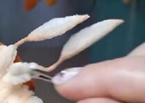 【画像】完成した作品