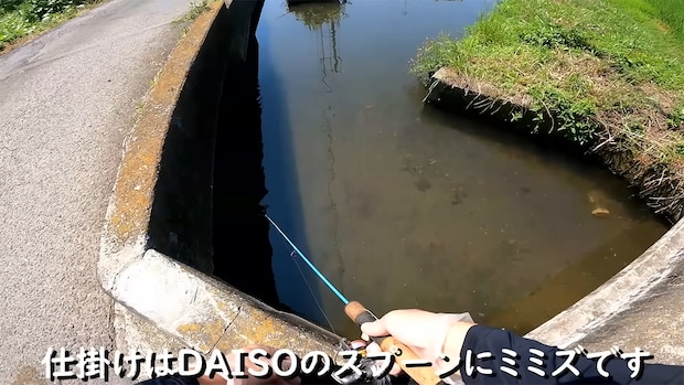 「この川は終わりですね」肉食魚だらけの川に現れた“まさかのヤバい奴”に「すさまじい」「強いなぁ」