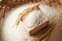 「こんな使い道があるのか」新潟県の“米袋バッグ”がかわいい　「こ、米袋のバッグ…！？素敵！！」「友達にも評判良いです」