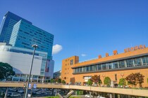 幻の銘菓「霜ばしら」から定番「萩の月」まで！　宮城県の「おいしいお土産」を紹介　一番うまいと思うのは？