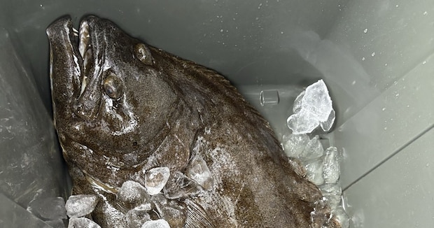 お隣のおじいさんにヒラメをお裾分け→まさかの“お返し”に仰天　「最高すぎる」「めっちゃかっこいい」と430万表示