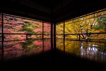 【東海在住者に聞いた】紅葉を見に行きたい「都道府県」ランキングTOP27！　第1位は「京都府」【2025年最新調査結果】