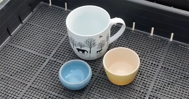 使わなくなった食器、捨てる前にちょっと待って! 穴を開けるだけで“実用アイテム”に大変身「楽しそう」「早速真似しました!」