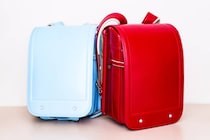 【画像】記事を読む