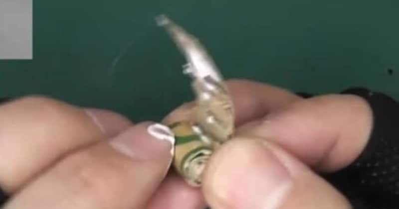 普段は「鍼灸師」→ダンボールを細長く切って、ペタペタ貼ると……「すごい」 完成した“国民的RPGのモンスター”に仰天