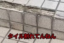 【画像】補修した結果