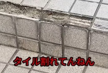 【動画】補修の様子