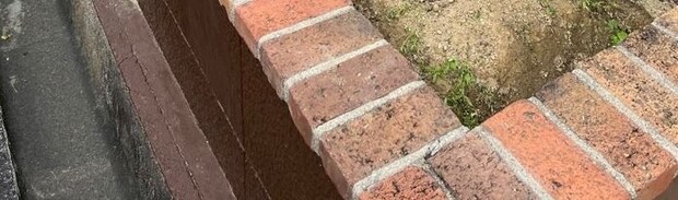 久しぶりに実家へ→サツキが植えられていた花壇をふと見ると……「いや、場所!!」　まさかの光景に「大胆な発想、ステキ」「目からウロコ…!!」