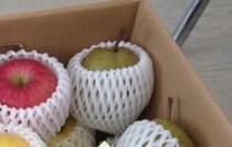 実家から届いたダンボールいっぱいのプレゼント、一緒に添えられていたのは……「こんなの最高すぎやしませんか」「愛だ…愛があふれてる…」