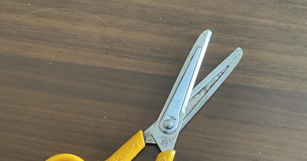 幼稚園から愛用していたハサミ→迎えた“最期”の姿に「すげぇ……」「懐かしい」「コレ捨てられないですね」