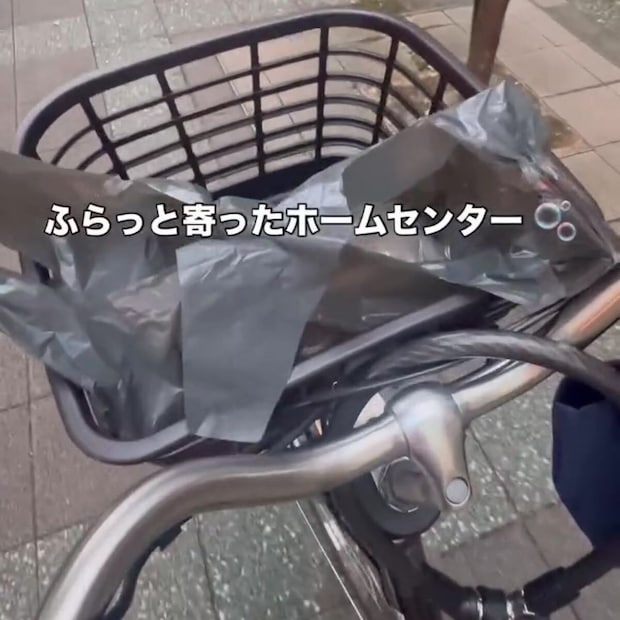 ホームセンターで“4000円の魚”を衝動買い→帰宅後……　まさかの正体に「初めて見た」「こりゃかっけぇ」と182万再生