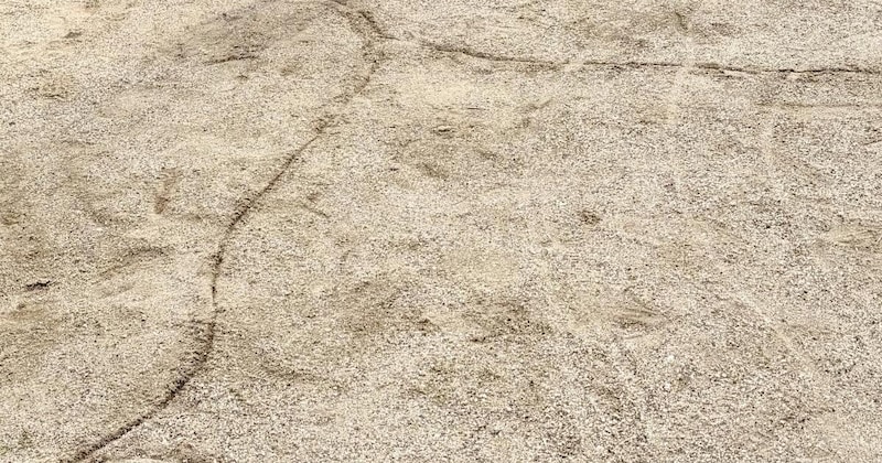 公園にやってきたママと娘→“謎の線”をたどると……「ありがとうございます」「最高に盛り上がりました」　描かれていた“まさかのもの”に反響