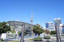 【画像：ランキング17位～1位を見る】