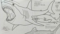 「私の知ってる塗り絵と違う」　プロが“子どもの塗り絵”を本気で塗ってみたら……“衝撃の仕上がり”に「5度見くらいしたw」「す、凄い」