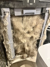 「最近、空気清浄機を掃除してない」→開けてみたら衝撃の光景　「ホラー」「イエティがおる」と驚きの声