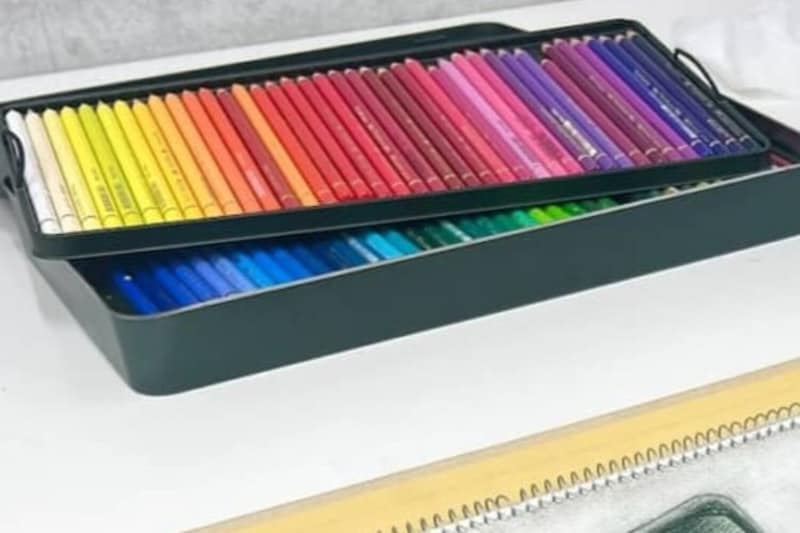 おじいちゃんに買ってもらった色鉛筆→小4男児「これを絵にしたい」と描いたら……　「天才現れる」まさかの完成品に「感動です」