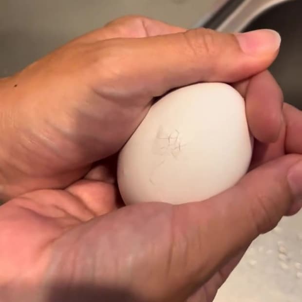 「どうしたらいいこれ!?」と大慌ての妻→卵から生まれたのは……　「なにこれw」期待を裏切る“まさかの中身”に「死ぬほど笑った」