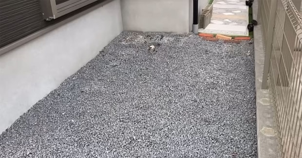 寂しかった“庭の砂利スペース”→素人が一生懸命DIYしたら……　雰囲気ガラリ「一気に良くなりますね」「素晴らしい」