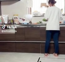 朝ごはんを準備中の飼い主に、誰も予想できない生き物が忍び寄り……「やべぇ腹痛いｗｗ」　信じられない光景に「予想以上だった」