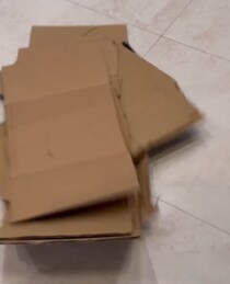 【画像】完成した作品