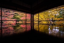 【東海在住者に聞いた】紅葉を見に行きたい「都道府県」ランキングTOP27！　第1位は「京都府」【2025年最新調査結果】