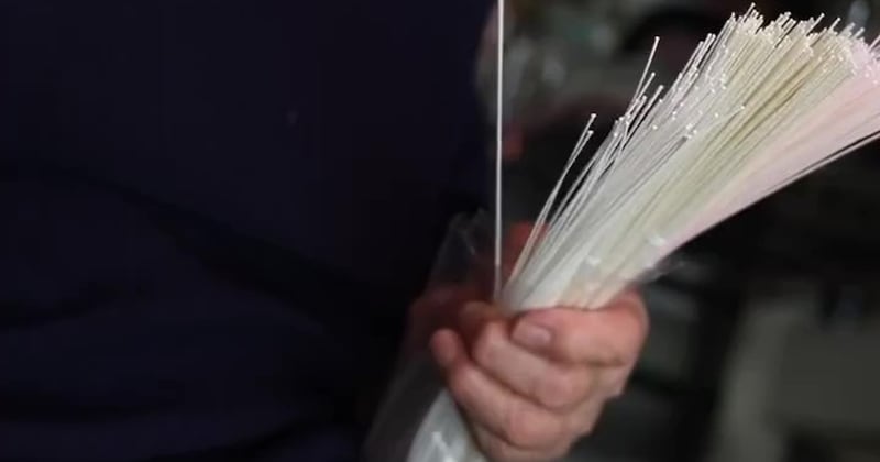 90歳のおばあちゃんが出会って60年の水引で手掛ける驚がくの作品が……「えっどゆこと!?」「概念が覆りました」「理解が追いつかないほど美しい」