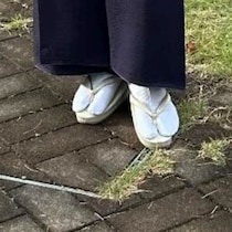 【画像】記事を読む