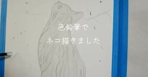 【画像】写真にしか見えないネコの絵