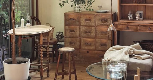 100均のミニ観葉植物→“放置気味”で育てたら、20年後……「すごっ!!!」 衝撃の光景に「これが100均なんて」