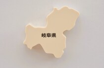 【画像：ランキング29位～1位を見る】