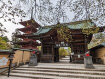 【画像：ランキング26位～1位を見る】