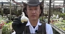 ニンニクは食べるだけじゃなかった……！　プロ直伝の“絶対得する”裏ワザに「すごい効果！」「勉強になる」