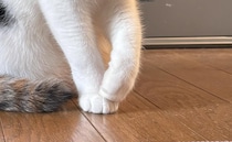 【画像】全身を見る