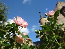 【画像：群馬にある“本物の英国の古城”を見る】