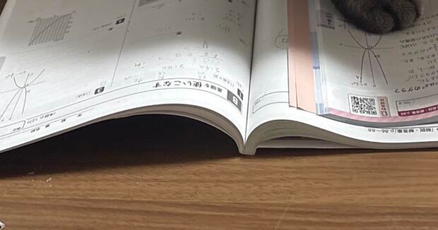 受験勉強に熱心な娘→そこに、突然現れたのは　「これはなかなか……」予想外の“妨害者”に「なんて過酷」「集中力を切らさない特訓」