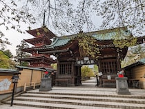 【関東在住者に聞いた】名前がかっこいい「青森県の市町村」ランキングTOP30！　第1位は「弘前市」【2025年最新調査結果】