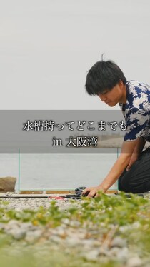 釣ったマダコを水槽に入れてみたら……　普段は絶対見られない面白すぎる水景に「まじで綺麗」「最後バイバイ！って手振ってる」