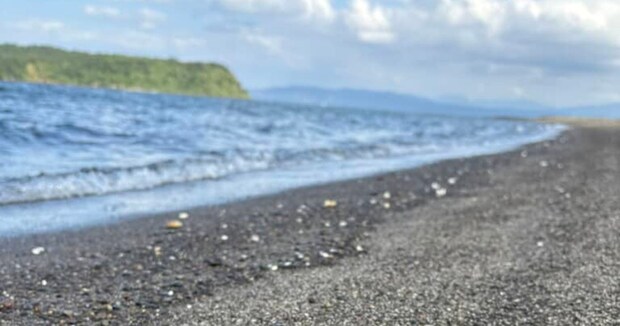 海辺で見つけた「珍しい貝」→近づいてみると……「危なっっ！」　とんでもない生き物の正体が330万表示「こ、これが噂の」
