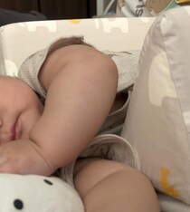 【画像】記事を読む