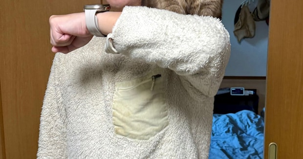 愛猫とのツーショットを見たら……「合成ではありません」　“ポケモンとトレーナー”みたいな光景が700万表示　「使い魔かな？」