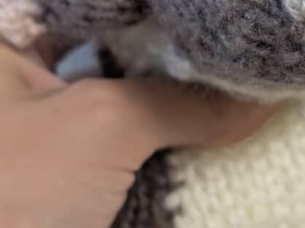 ネットで買った編み物の図を参考にして、ハムスターを編んだら……　「なんかちがう」まさかの完成品が180万表示「千と千尋のやつに似てる」