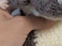 ネットで買った編み物の図を参考にして、ハムスターを編んだら……　「なんかちがう」まさかの完成品が180万表示「千と千尋のやつに似てる」